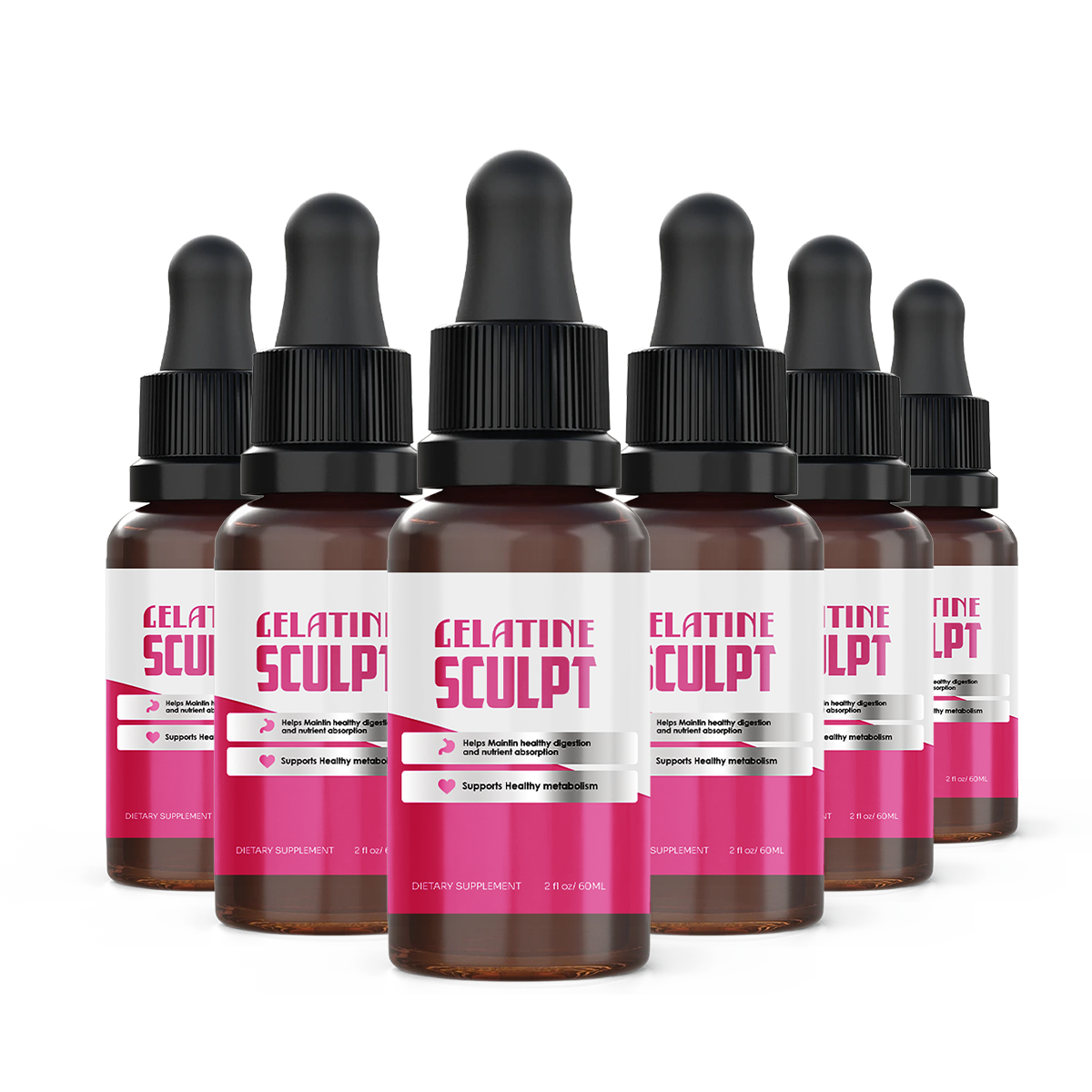 Gelatine Sculpt — 6 bottles